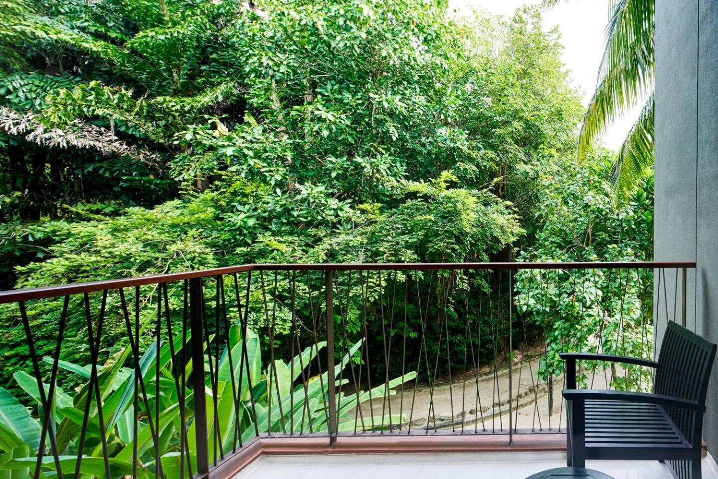Deluxe Room 1 King Garden View Newly Renovated